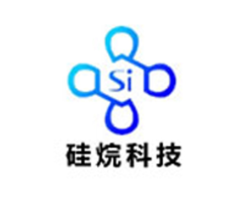 河南硅烷科技发展有限公司