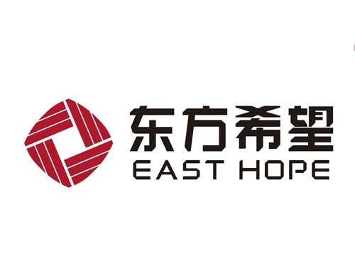 新疆东方希望新能源有限公司
